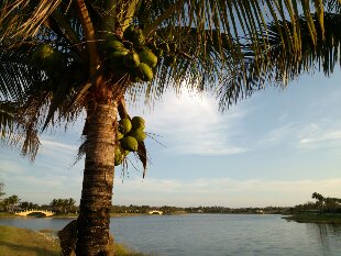 0305141741.jpg image